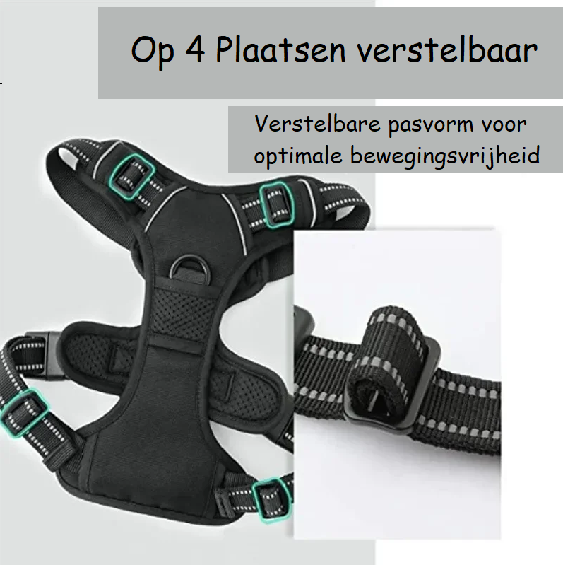 Hondentuigje– Comfort en Controle voor Iedere Wandeling!