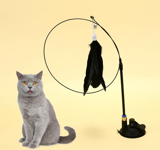 Interactief kattenspeeltje