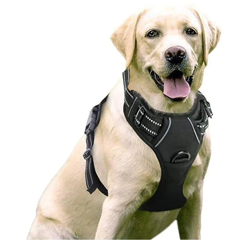 Hondentuigje– Comfort en Controle voor Iedere Wandeling!