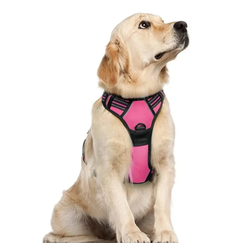 Hondentuigje– Comfort en Controle voor Iedere Wandeling!