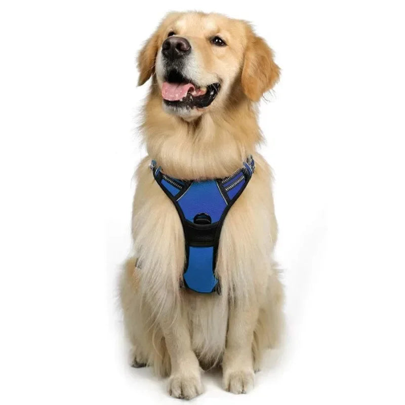 Hondentuigje– Comfort en Controle voor Iedere Wandeling!